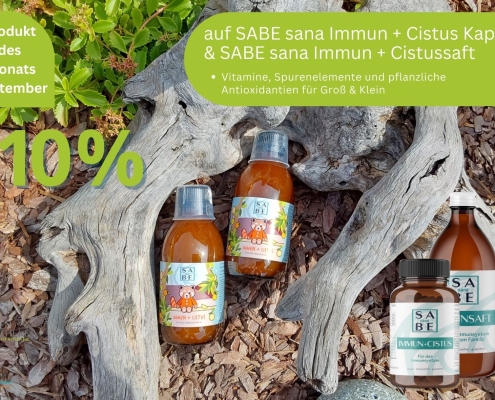 Produkt des Monats September 2023: Sabe sana Immun Cistus